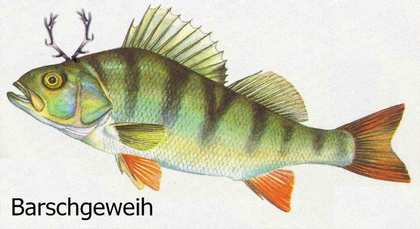 644249_163408543822688_1179667773_n